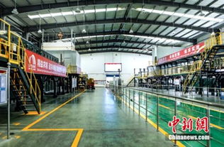 堅(jiān)守工匠精神 東方雨虹以木材加固建筑建材質(zhì)量護(hù)城河